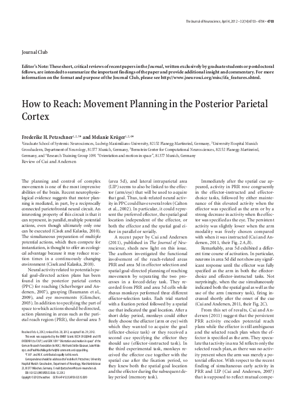 (PDF) How to reach: movement planning in the posterior parietal cortex