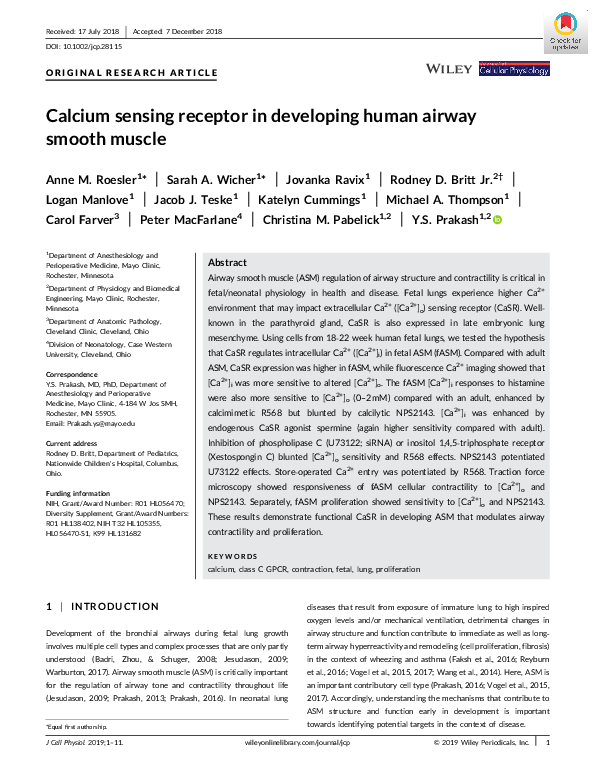 (PDF) Calcium sensing receptor in developing human airway smooth muscle