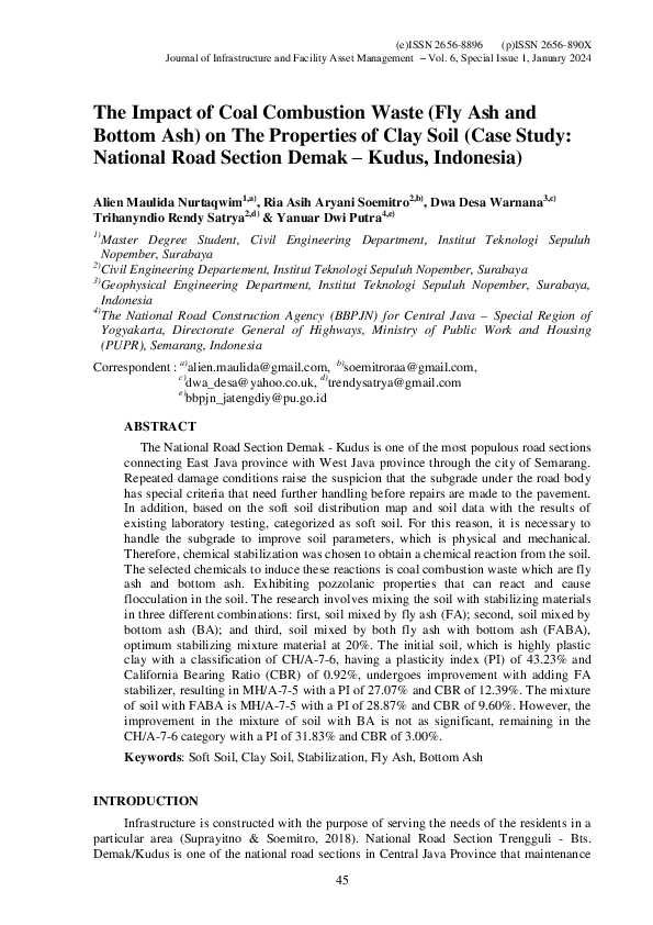 (PDF) The Impact of Coal Combustion Waste (Fly Ash and Bottom Ash) on ...