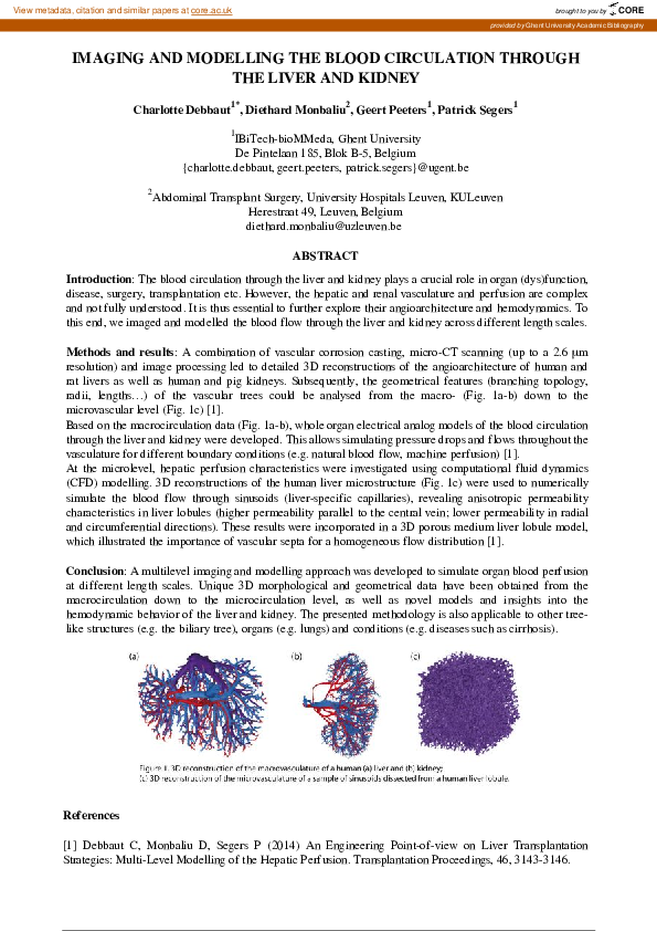 (PDF) Imaging and modeling the blood circulation through the liver and ...