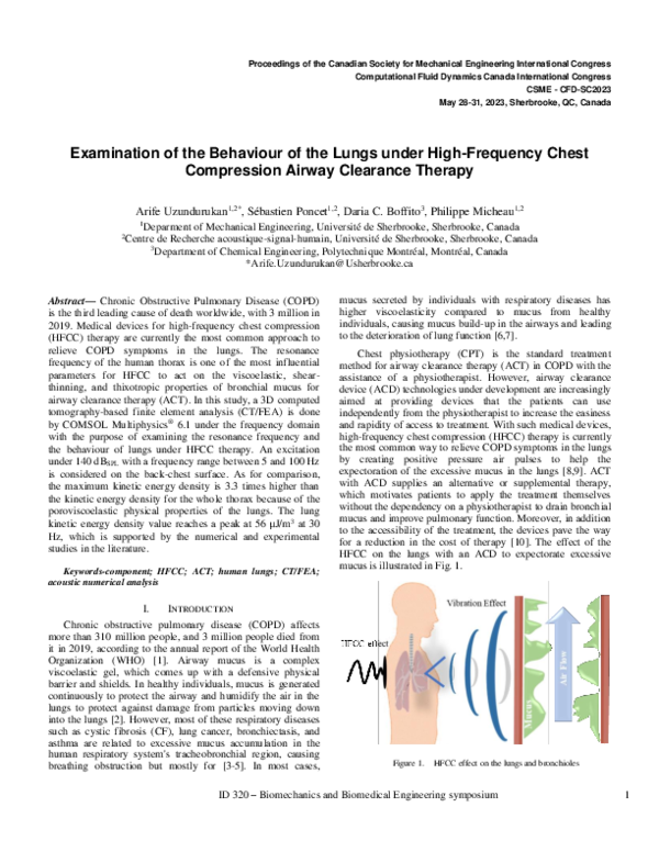 (PDF) Examination of the behaviour of the lungs under high-frequency ...