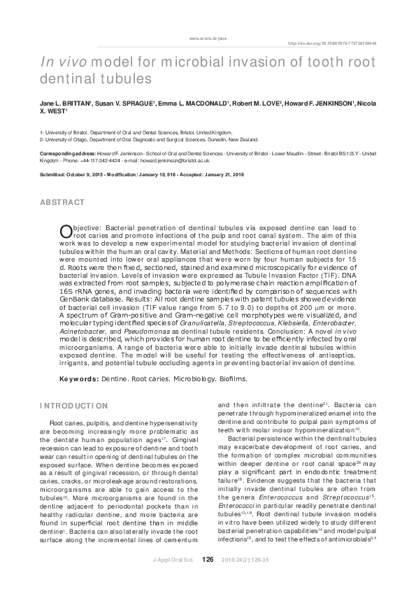 (PDF) In vivo model for microbial invasion of tooth root dentinal tubules