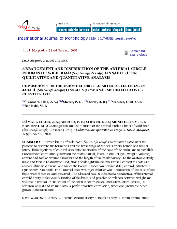 (PDF) ARRANGEMENT AND DISTRIBUTION OF THE ARTERIAL CIRCLE IN BRAIN OF ...