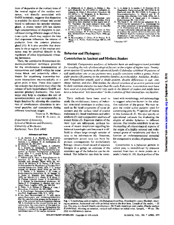 (PDF) Behavior and Phylogeny: Constriction in Ancient and Modern Snakes