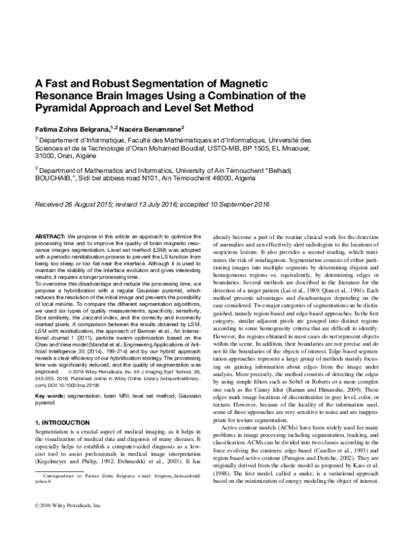 (PDF) A fast and robust segmentation of magnetic resonance brain images ...