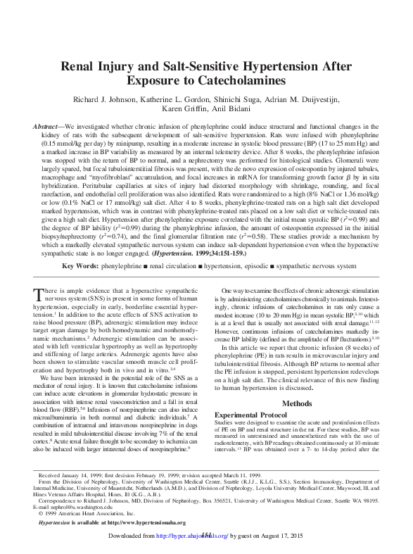 (PDF) Renal Injury and Salt-Sensitive Hypertension After Exposure to ...