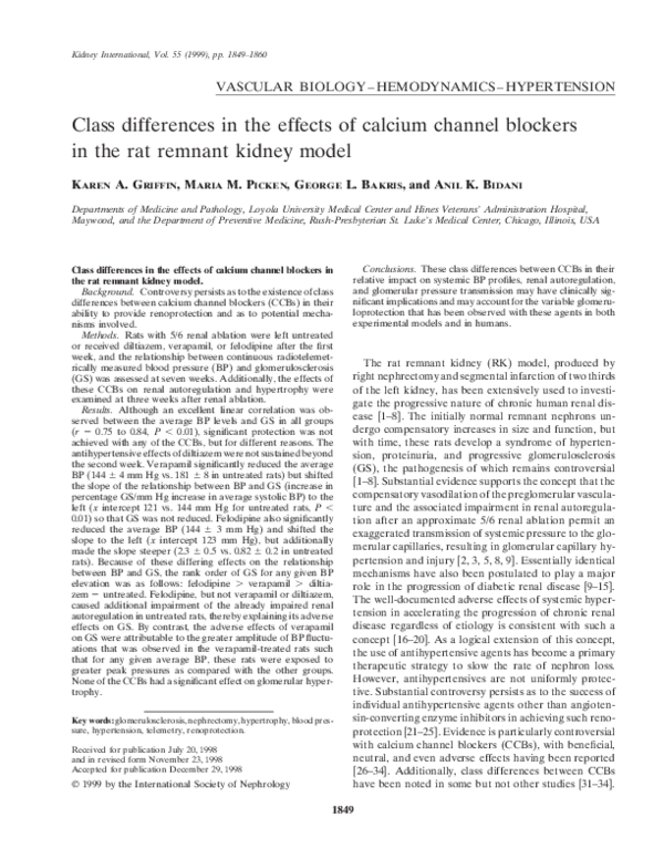 (PDF) Class differences in the effects of calcium channel blockers in ...