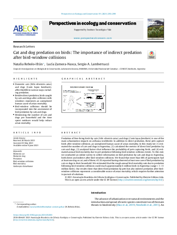(PDF) Cat and dog predation on birds: The importance of indirect ...