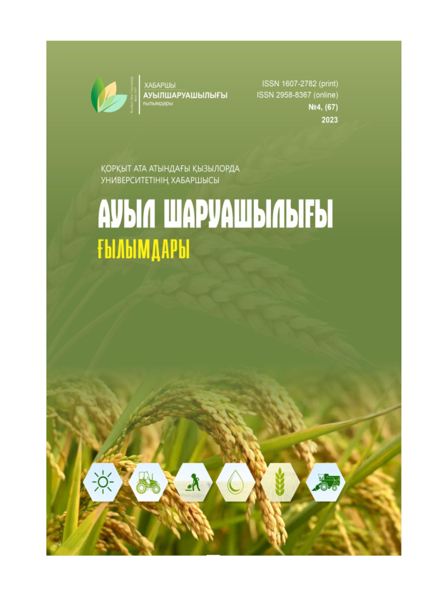 Тығыз формадағы қыздар порно