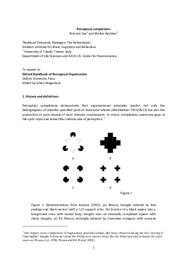(PDF) Perceptual completions