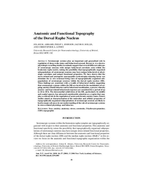 (PDF) Anatomic and Functional Topography of the Dorsal Raphe Nucleus