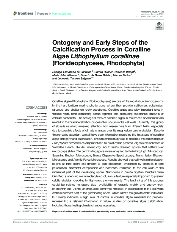 (PDF) Ontogeny and Early Steps of the Calcification Process in ...