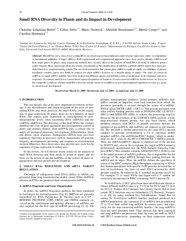 (PDF) Small RNA Diversity in Plants and its Impact in Development