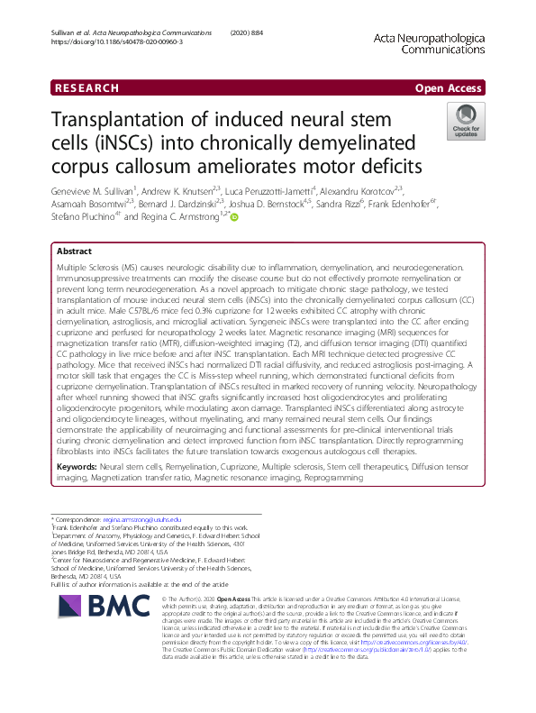 (PDF) Transplantation of induced neural stem cells (iNSCs) into ...