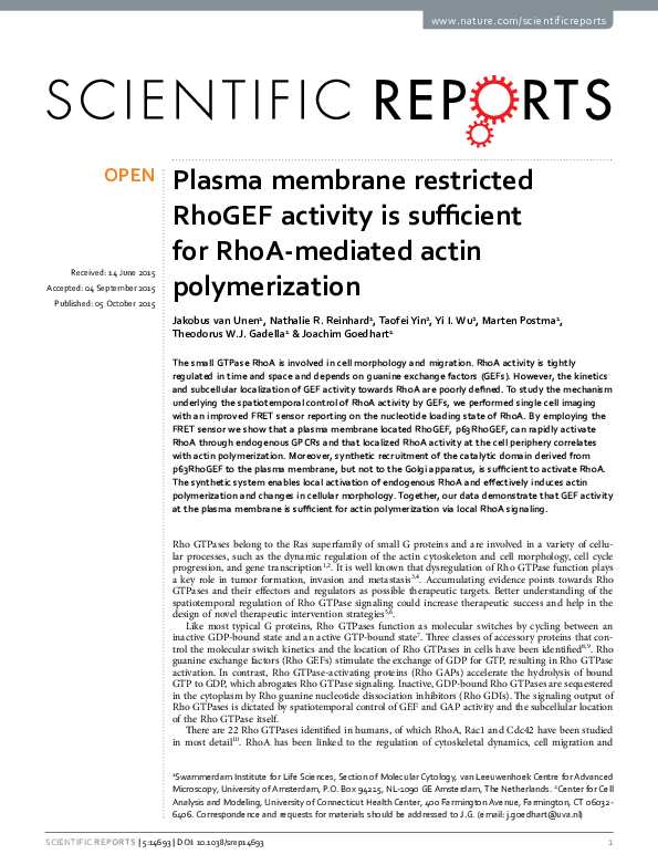 (PDF) Plasma membrane restricted RhoGEF activity is sufficient for RhoA ...
