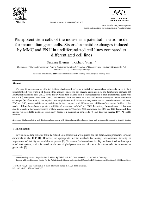 (PDF) Pluripotent stem cells of the mouse as a potential in vitro model ...
