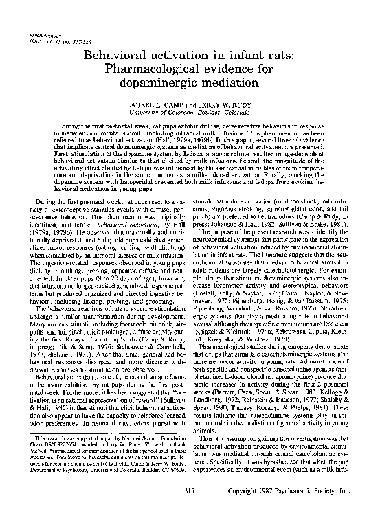 (PDF) Behavioral activation in infant rats: Pharmacological evidence ...