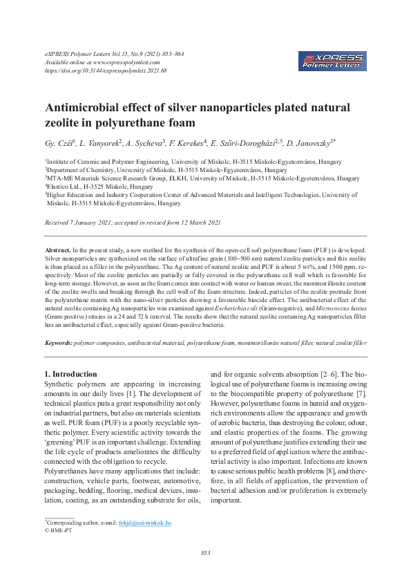 (PDF) Antimicrobial effect of silver nanoparticles plated natural ...