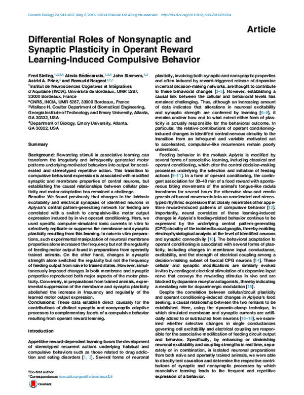 (PDF) Differential Roles of Nonsynaptic and Synaptic Plasticity in ...