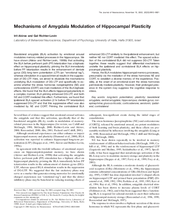 (PDF) Amygdala Influence on Hippocampal Memory Plasticity