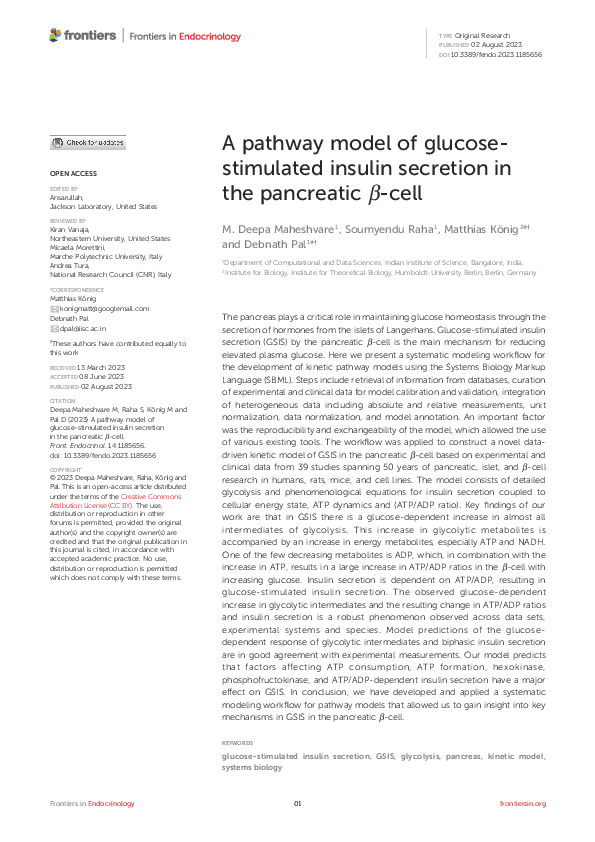 (PDF) A pathway model of glucose-stimulated insulin secretion in the ...