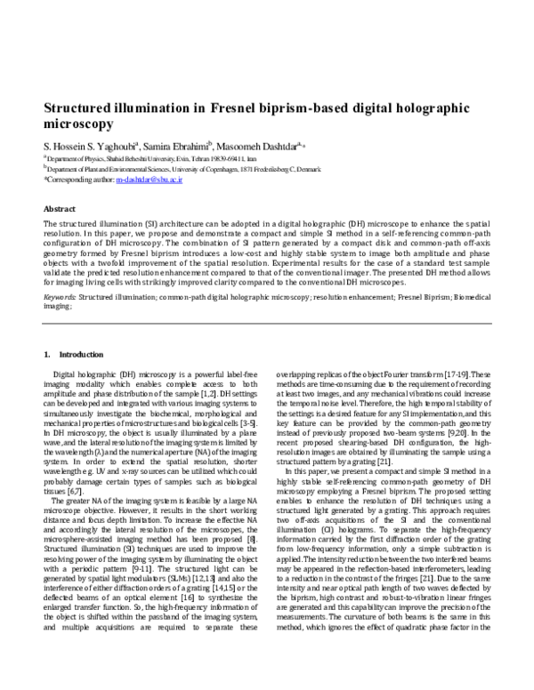 (PDF) Structured illumination in Fresnel biprism-based digital ...