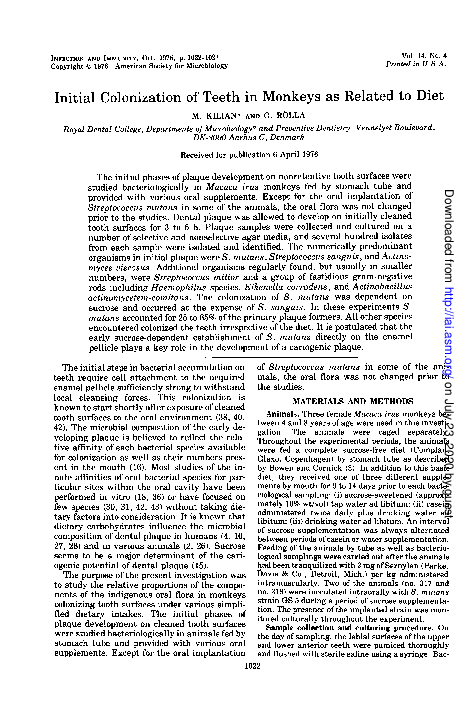 (PDF) Initial colonization of teeth in monkeys as related to diet