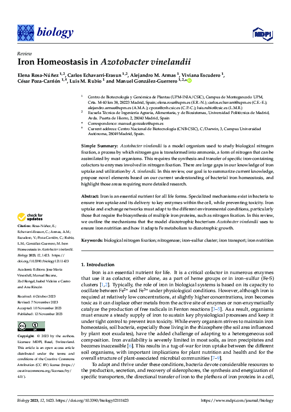 (PDF) Iron Homeostasis in Azotobacter vinelandii