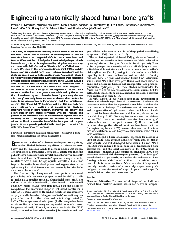 (PDF) Engineering anatomically shaped human bone grafts