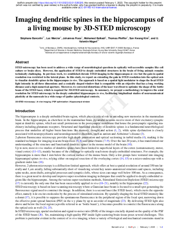 (PDF) Imaging dendritic spines in the hippocampus of a living mouse by ...