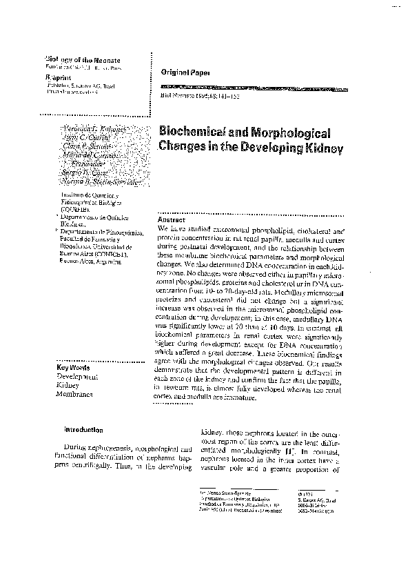 (PDF) Biochemical and Morphological Changes in the Developing Kidney