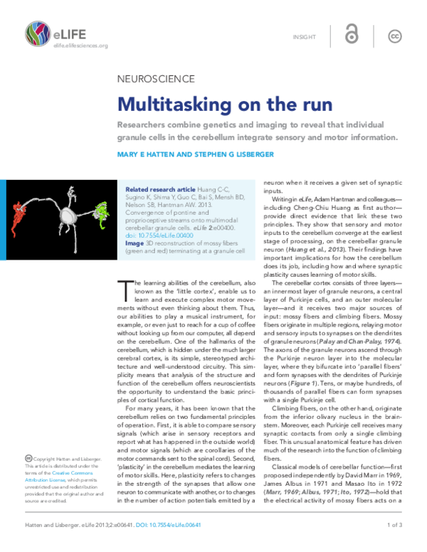 (PDF) Multitasking on the run