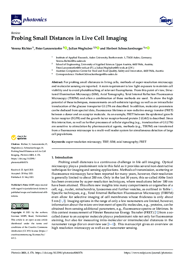 (PDF) Probing Small Distances in Live Cell Imaging