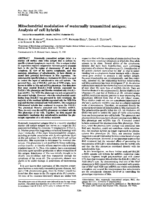 (PDF) Mitochondrial modulation of maternally transmitted antigen ...