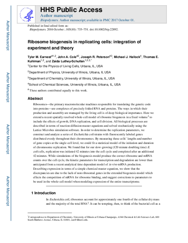 (PDF) Ribosome biogenesis in replicating cells: Integration of ...