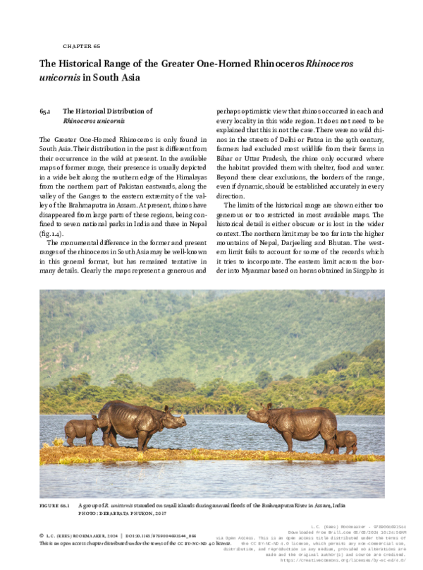 (PDF) The rhinoceros of South Asia