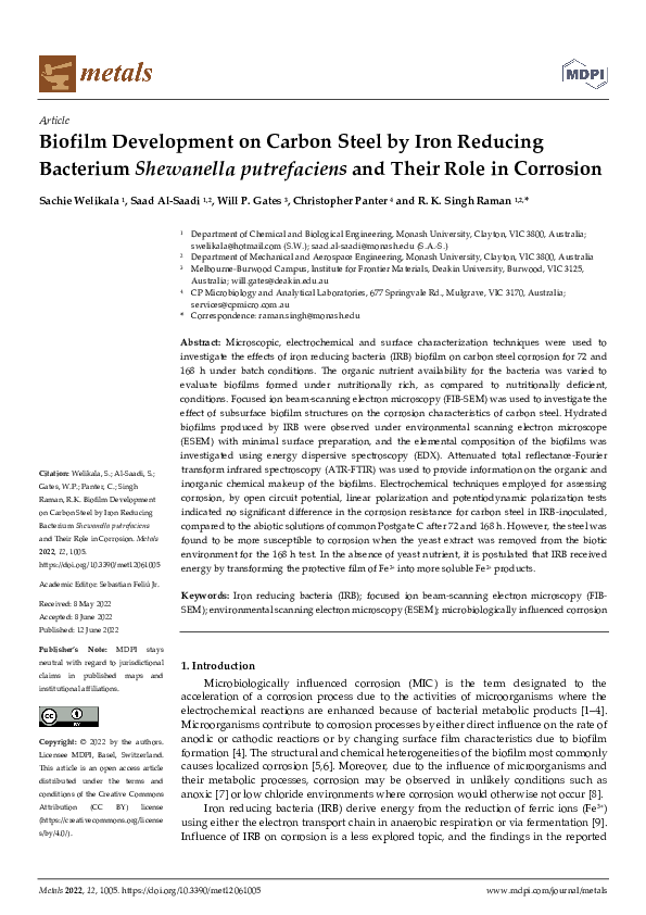 (PDF) Biofilm Development on Carbon Steel by Iron Reducing Bacterium ...