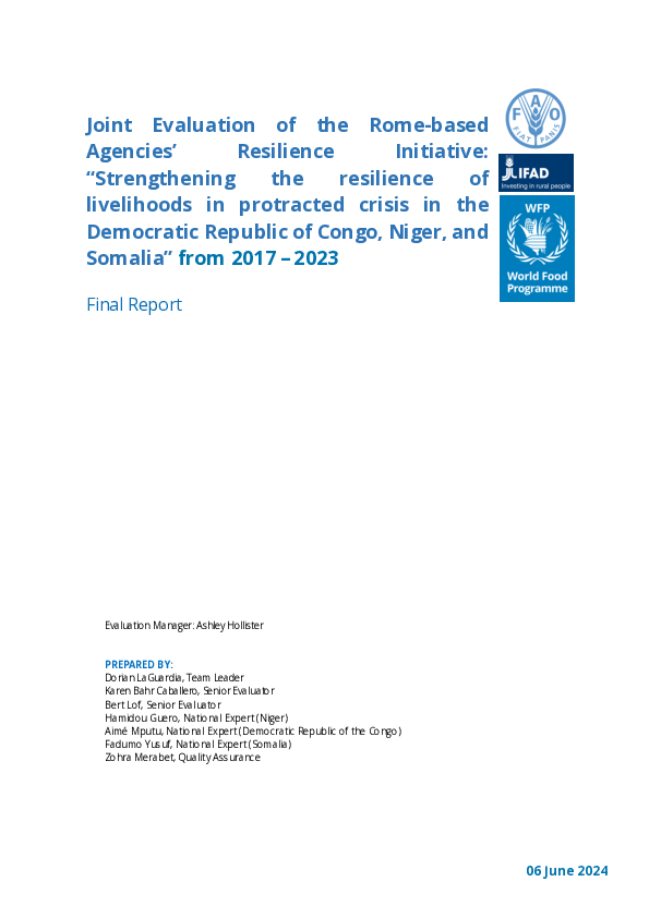 (PDF) Evaluation of the Rome-based Agencies' Resilience Initiative ...