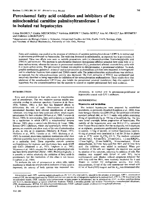 (PDF) Peroxisomal fatty acid oxidation and inhibitors of the ...