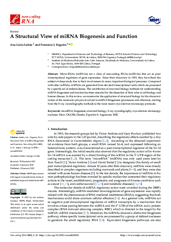(PDF) A Structural View of miRNA Biogenesis and Function