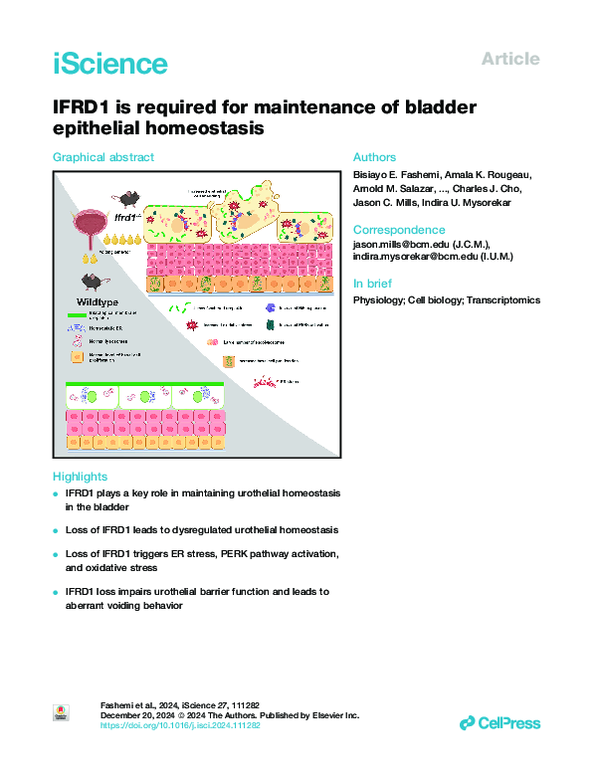 (PDF) IFRD1 is required for maintenance of bladder epithelial homeostasis