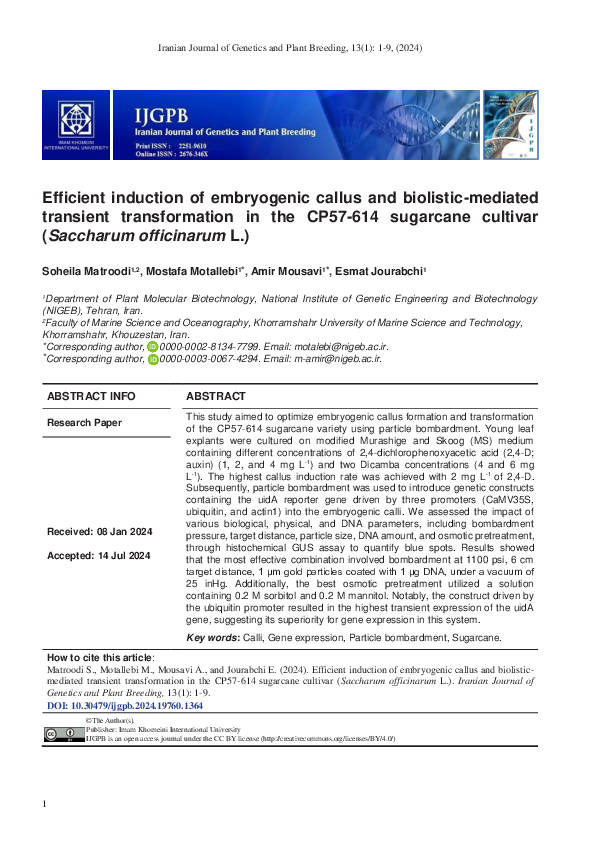 (PDF) Efficient induction of embryogenic callus and biolistic-mediated ...