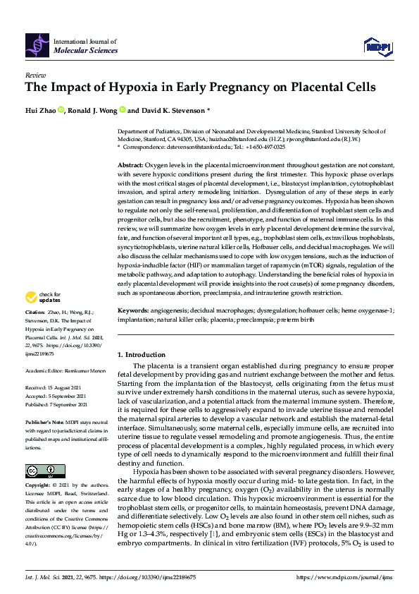 (PDF) The Impact of Hypoxia in Early Pregnancy on Placental Cells