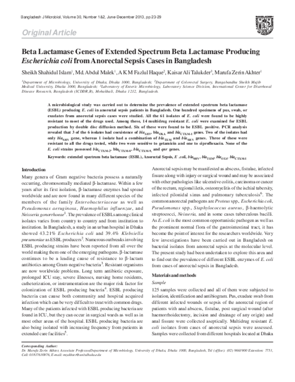 (PDF) Beta Lactamase Genes of Extended Spectrum Beta Lactamase ...