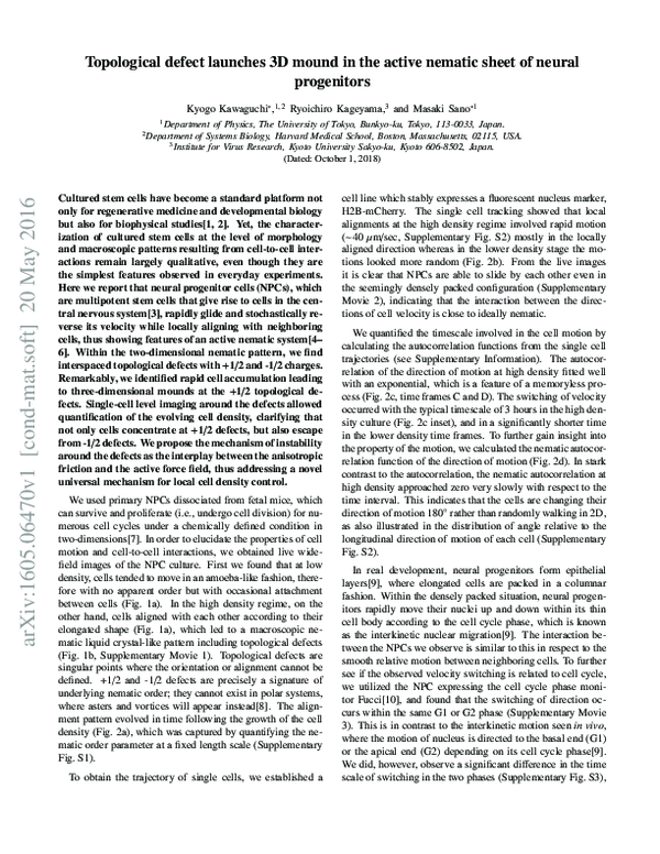 (PDF) Topological defect launches 3D mound in the active nematic sheet ...
