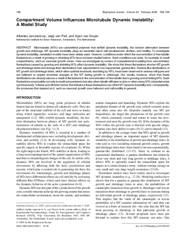 (PDF) Compartment Volume Influences Microtubule Dynamic Instability: A ...