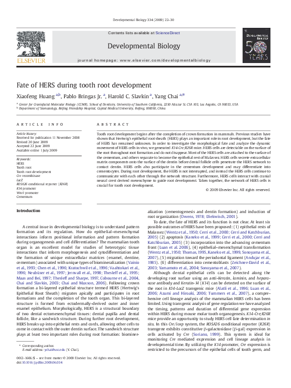 (PDF) Fate of HERS during tooth root development