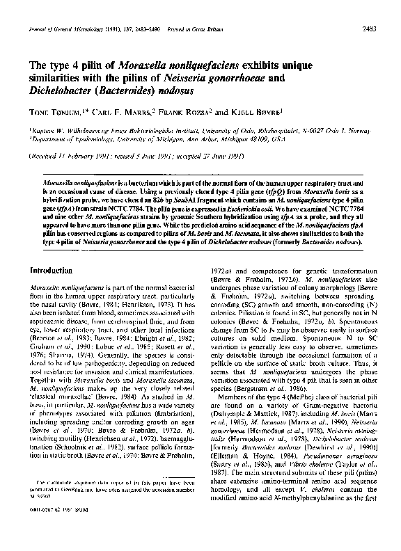 (PDF) The type 4 pilin of Moraxella nonliquefaciens exhibits unique ...
