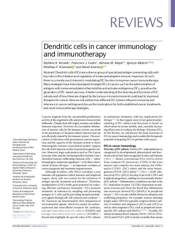 (PDF) Dendritic cells in cancer immunology and immunotherapy