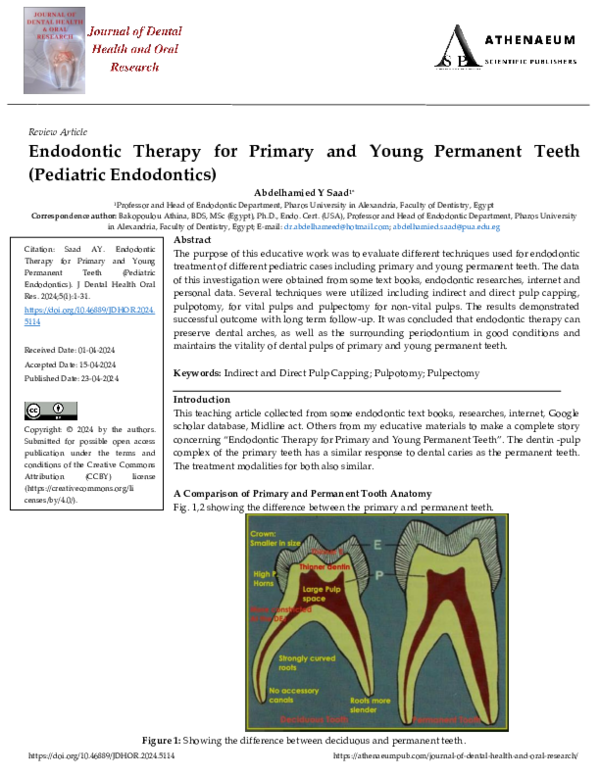 (PDF) Endodontic Therapy for Primary and Young Permanent Teeth ...